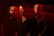 11/21　THE WINERY DOGS